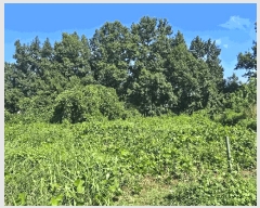  2025Ÿ��33400  �����