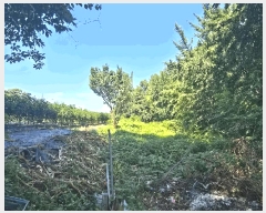  2025Ÿ��33400  �����