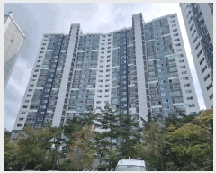  2025Ÿ��33741  ����Ʈ���