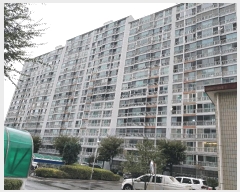  2025Ÿ��33747  ����Ʈ���