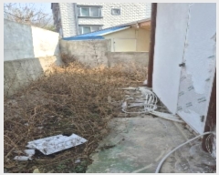  2025Ÿ��59  ���ð��