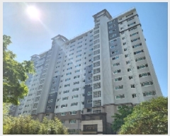  2025Ÿ��2598  ����Ʈ���