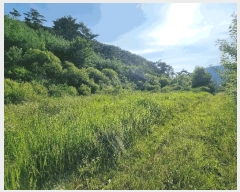  2025Ÿ��4310  �Ӿ߰��