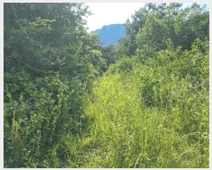  2025Ÿ��4310  �Ӿ߰��