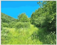  2025Ÿ��4310  �Ӿ߰��