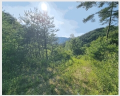  2025Ÿ��4310  �Ӿ߰��