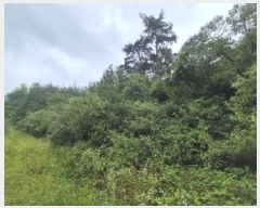  2025Ÿ��4310  �Ӿ߰��