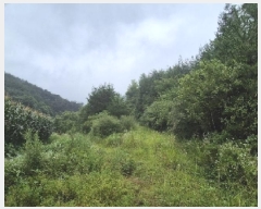  2025Ÿ��4310  �Ӿ߰��