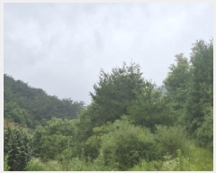  2025Ÿ��4310  �Ӿ߰��