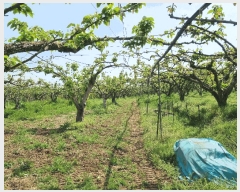  2025Ÿ��32575 ���� ���ֽ� ��õ�� �Ű��� 596-8      ����(��)���