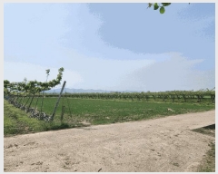  2025Ÿ��32575 ���� ���ֽ� ��õ�� �Ű��� 596-8      ����(��)���