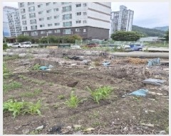  2025Ÿ��32786 ���� ȭ���� ȭ���� �Ƹ� 16-11      ����(��1)���