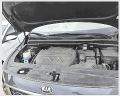  2025Ÿ33055  걸  224-1       