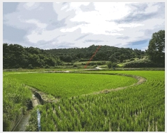  2025Ÿ��33081  ����