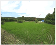  2025Ÿ��33081  ����