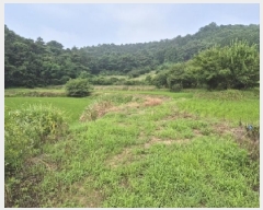  2025Ÿ��33081  ����