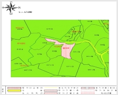  2025Ÿ��33081  ����