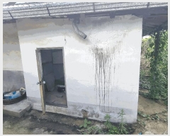  2025Ÿ��33401  ���ð��