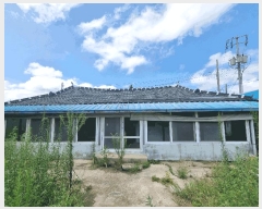  2025Ÿ��33401  ���ð��