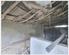  2025Ÿ��33401  ���ð��