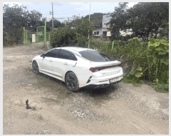  2025Ÿ33511   ǳ 317 ϳοؾ      