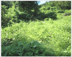  2025Ÿ��33523  �����