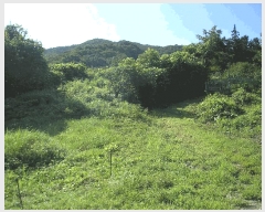  2025Ÿ��33523  �����