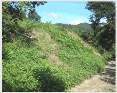  2025Ÿ��33523  �����