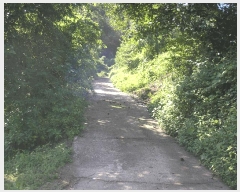  2025Ÿ��33523  �����