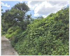  2025Ÿ��33523  �����