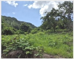  2025Ÿ��33523  �����