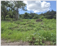  2025Ÿ��33523  �����