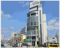  2025Ÿ��1335  �ٸ��ü����