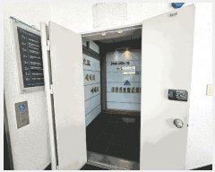  2025Ÿ��1335  �ٸ��ü����