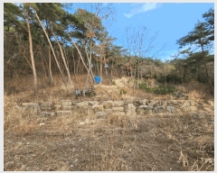  2025Ÿ��1465 ���� �强�� �强�� �� ��63      ����(�Ӿ�)���