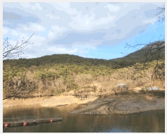  2025Ÿ��1465 ���� �强�� �强�� �� ��63      ����(�Ӿ�)���