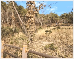  2025Ÿ��1465 ���� �强�� �强�� �� ��63      ����(�Ӿ�)���