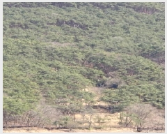  2025Ÿ��1465 ���� �强�� �强�� �� ��63      ����(�Ӿ�)���