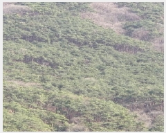  2025Ÿ��1465 ���� �强�� �强�� �� ��63      ����(�Ӿ�)���