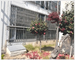  2025Ÿ��1762 ���� ���� ������ 1125-1 �����������ֿ�2������Ʈ 4��407ȣ     ����Ʈ���