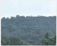  2025Ÿ��2482 ���� ȭ���� ���ϸ� ���ʸ� ��23      ����(�Ӿ�)���