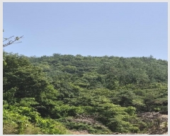  2025Ÿ��2482 ���� ȭ���� ���ϸ� ���ʸ� ��23      ����(�Ӿ�)���