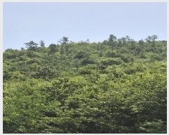  2025Ÿ��2482 ���� ȭ���� ���ϸ� ���ʸ� ��23      ����(�Ӿ�)���