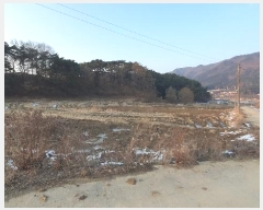  2025Ÿ��30258  ����