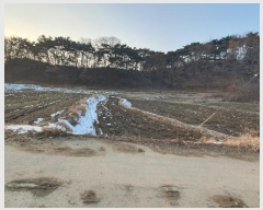  2025Ÿ��30258  ����