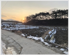  2025Ÿ��30258  ����