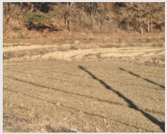  2025Ÿ��30258  ����