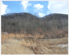  2025Ÿ��30470  ���������