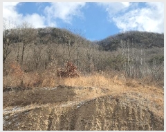  2025Ÿ��30470  ���������