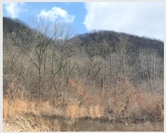  2025Ÿ��30470  ���������